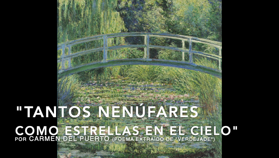  "Tantos nenúfares" (Audiopoema)